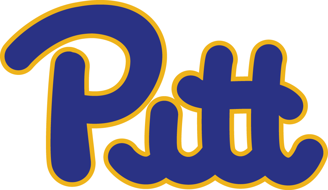 Pittsburgh Panthers 1973-1996 Wordmark Logo v2 diy fabric transfer...